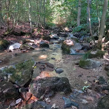 Campismo de Luxo Jurta V Hajich *